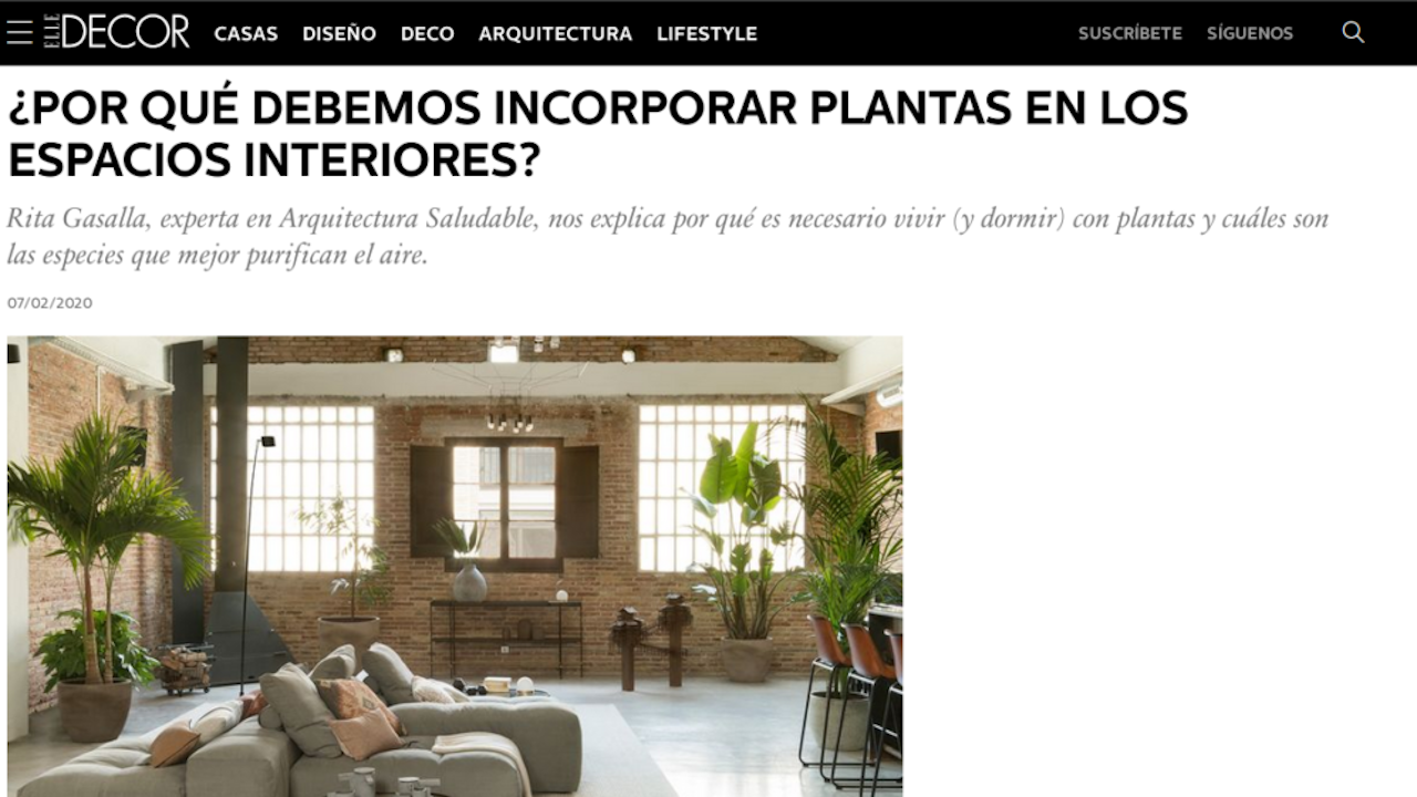 Elle Decor Plantas En Interiores