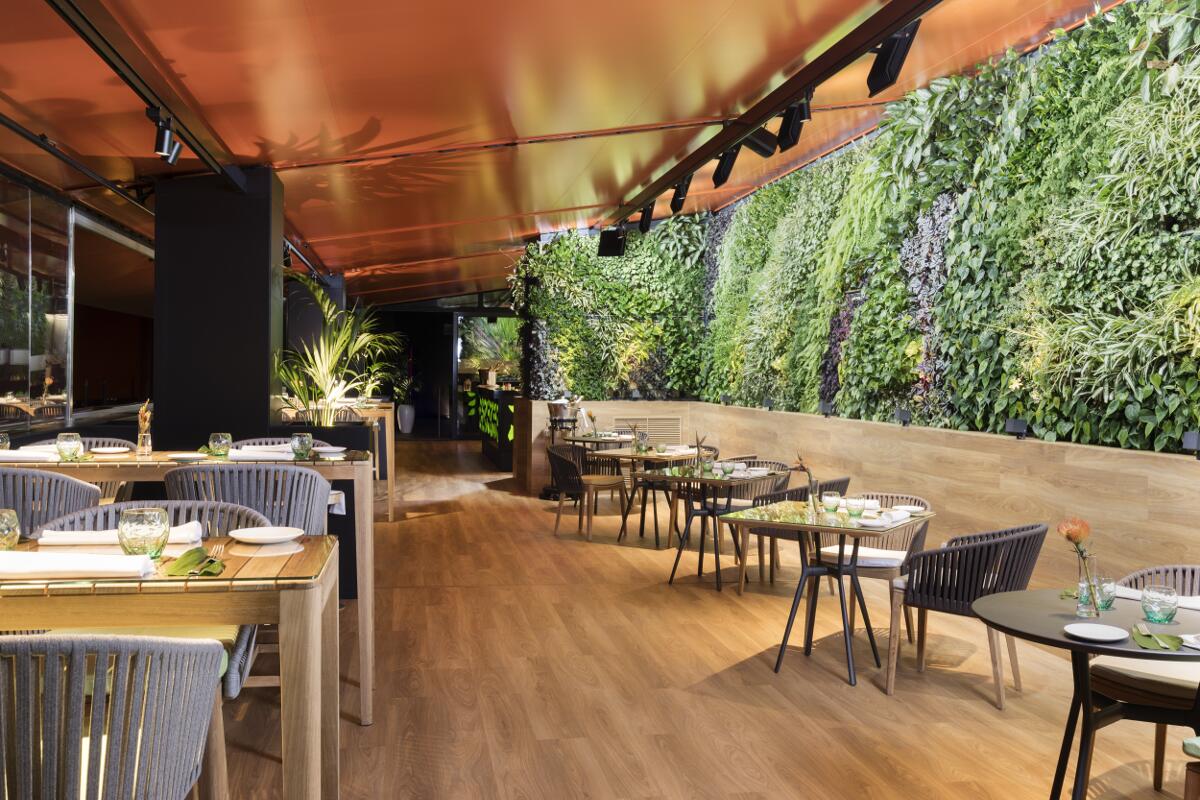 Galow arquitectura saludable restaurant vertical garden roof-galow