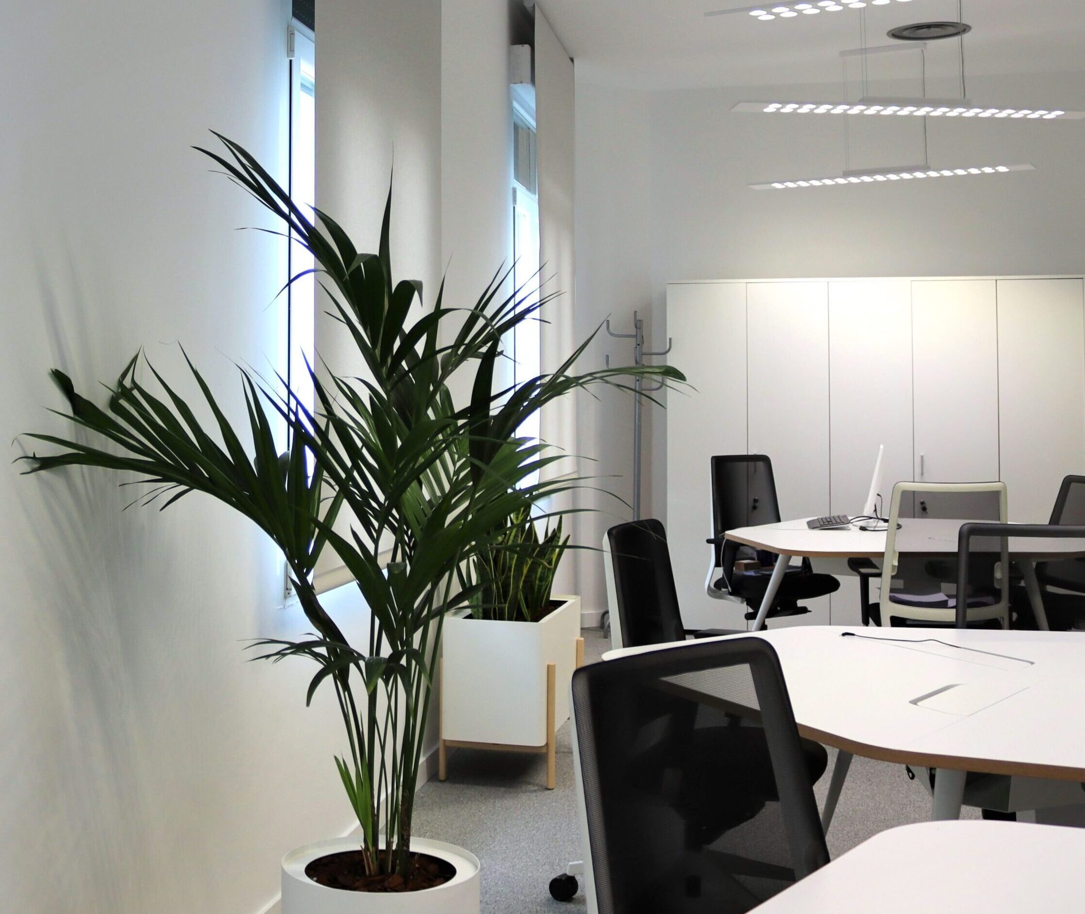 15 Area Trabajo Provalliance Galow Arquitectura Saludable