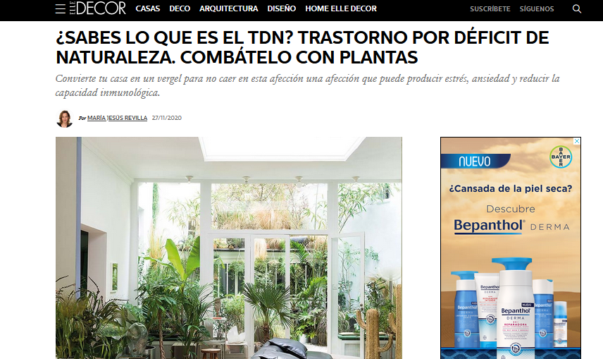 ¿Sabes lo que es el TDN? Trastorno por Déficit de Naturaleza. Combátelo con plantas (Elle Decor)