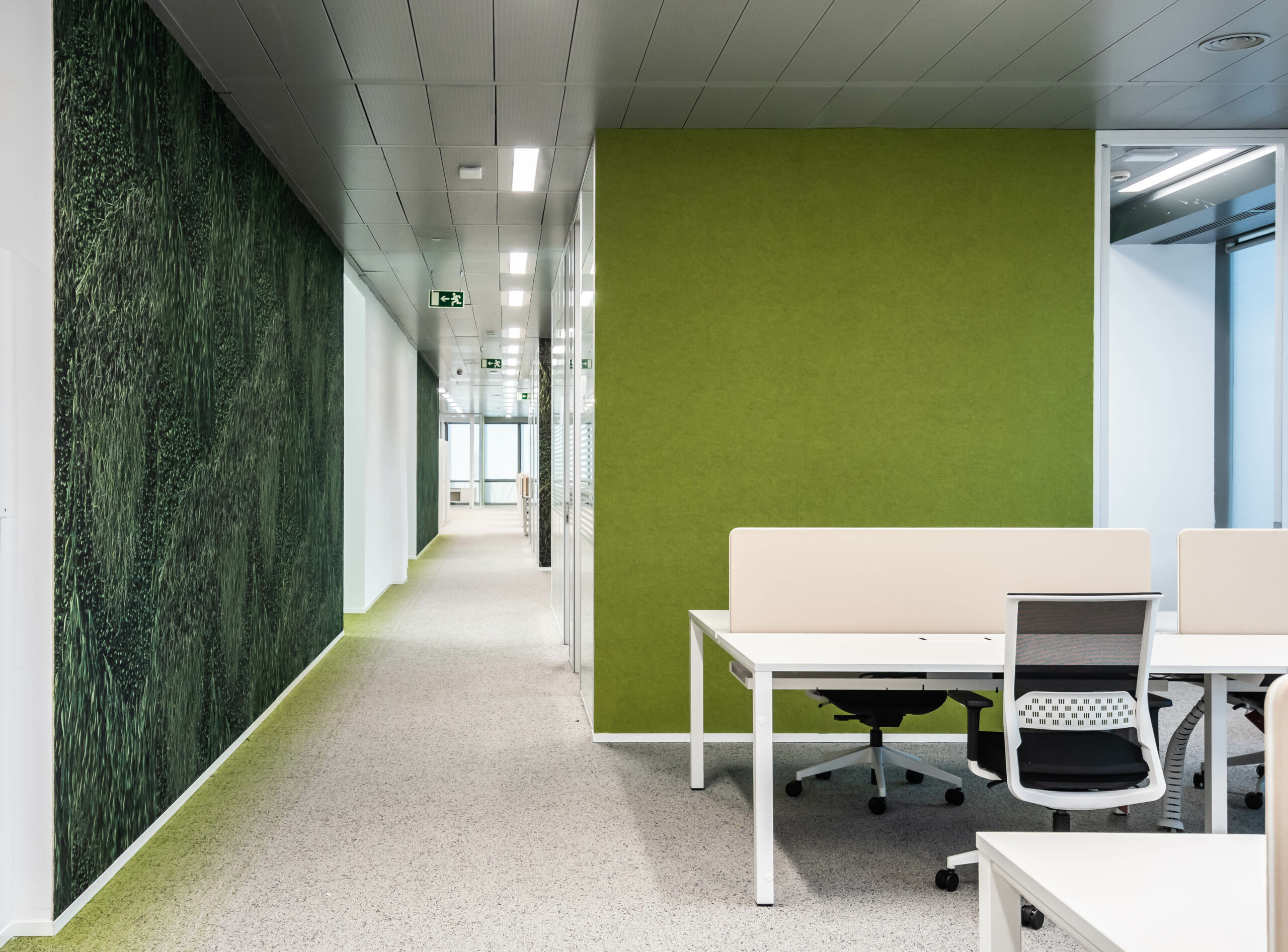 Galow reforma integral oficinas Homeserve arquitectura saludable neuroarquitectura rendimiento Madrid Galow reforma integral oficinas Homeserve arquitectura saludable neuroarquitectura rendimiento Madrid